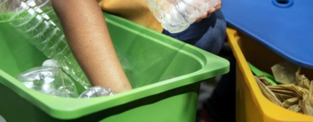 Reciclagem em São Paulo: dificuldades e alternativas para o descarte correto