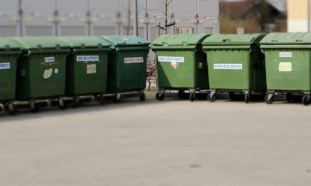 Gestão de resíduos sólidos em estabelecimentos: posso utilizar a coleta municipal de SP?