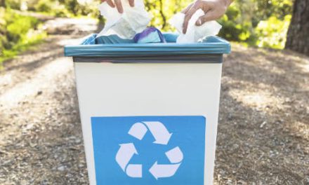 5 fatos importantes sobre destinação de resíduos orgânicos em restaurantes