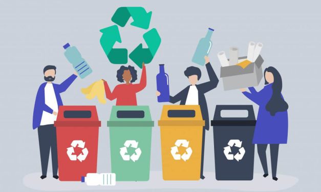 Como reduzir o lixo gerado na sua empresa em 6 passos